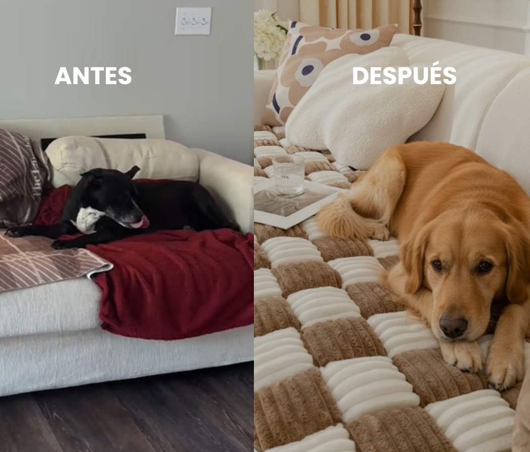 Funda de sofá universal  TeddyGuard®