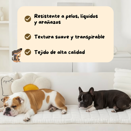 Funda de sofá universal  TeddyGuard®