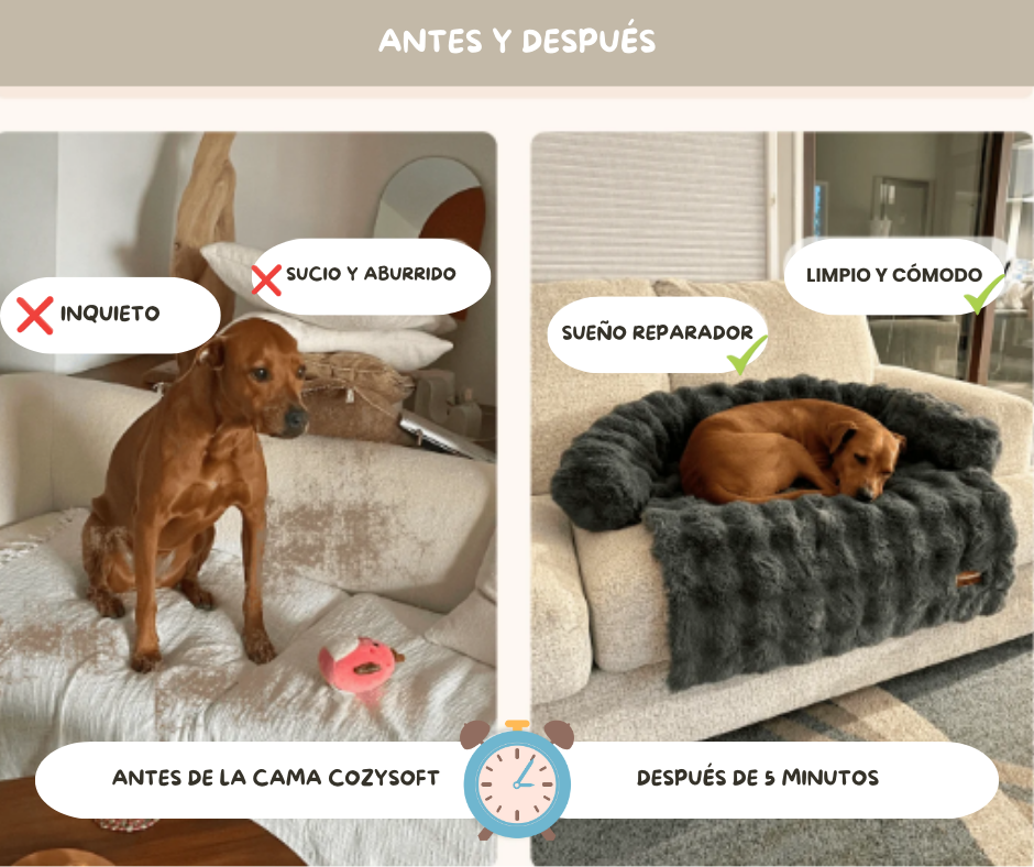 Cama de sofá antiestrés CozySoft®
