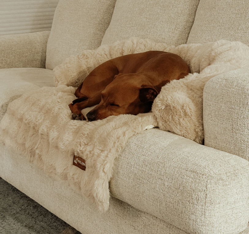 Cama de sofá antiestrés CozySoft®