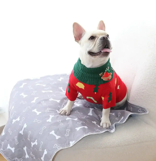 Empapador lavable Puppypad®