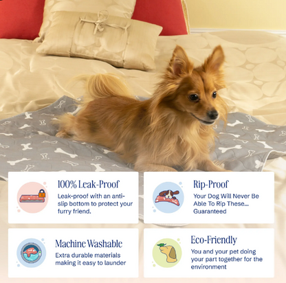 Empapador lavable Puppypad®