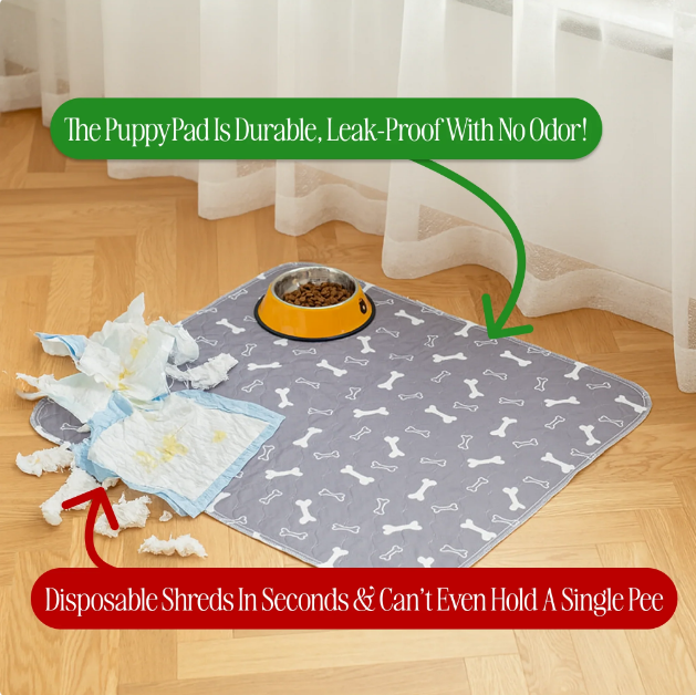 Empapador lavable Puppypad®